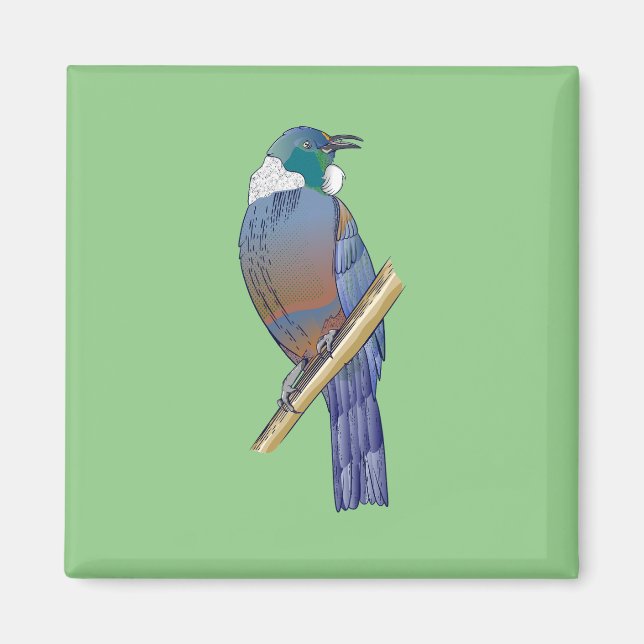 Imã Pássaro Tui Nova Zelândia (Frente)