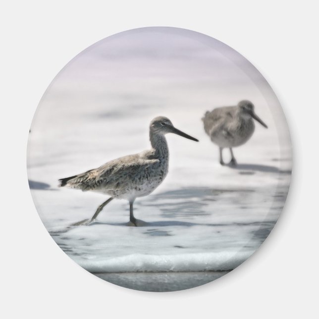 Imã Pássaros (Frente)