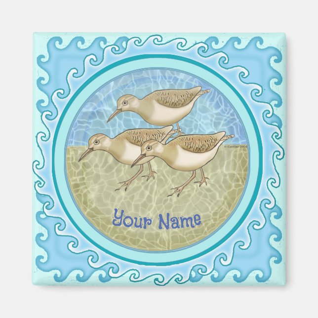 Imã Pássaros (Frente)