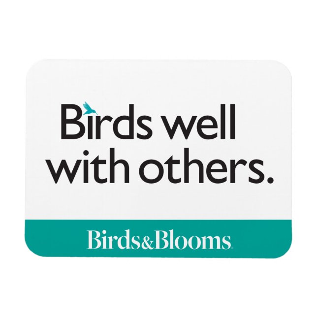 Ímã Pássaros bem com outros (Horizontal)