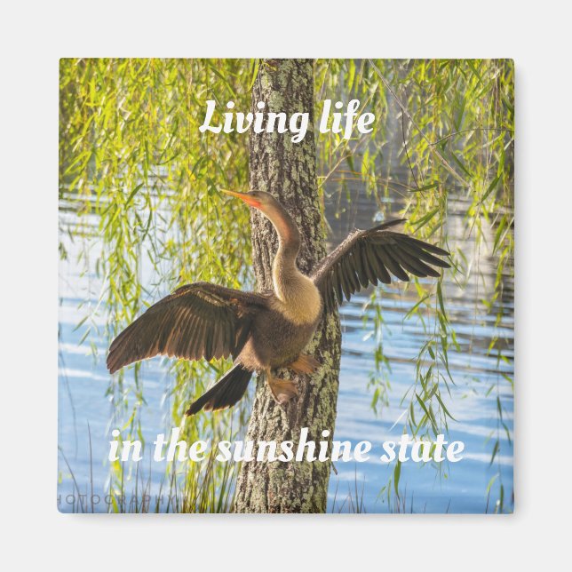 Imã Pássaros da Flórida 2 Polegadas (Frente)