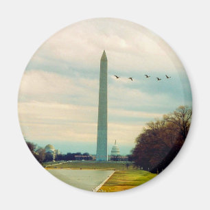 Imã pássaros do monumento de Washington