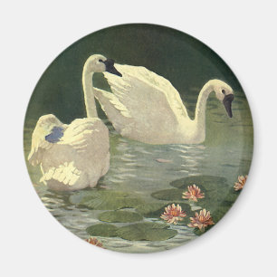 Imã Pássaros dos animais selvagens do vintage, cisnes