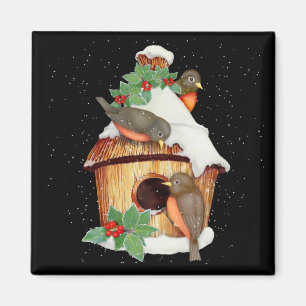 Imã Pássaros e Birdhouse do inverno