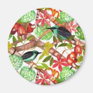Imã Pássaros e ímã tropicais das frutas