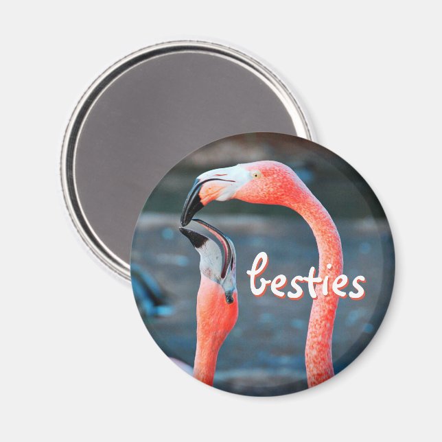 Imã Pássaros Flamingo Rosa Fotografias Besties Na moda (Front/Back)