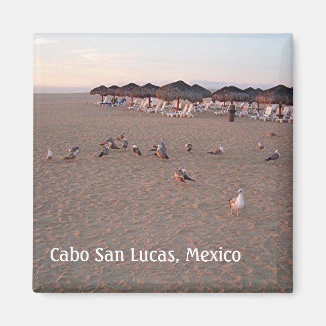 Imã Pássaros na praia em Cabo Magnet (Frente)