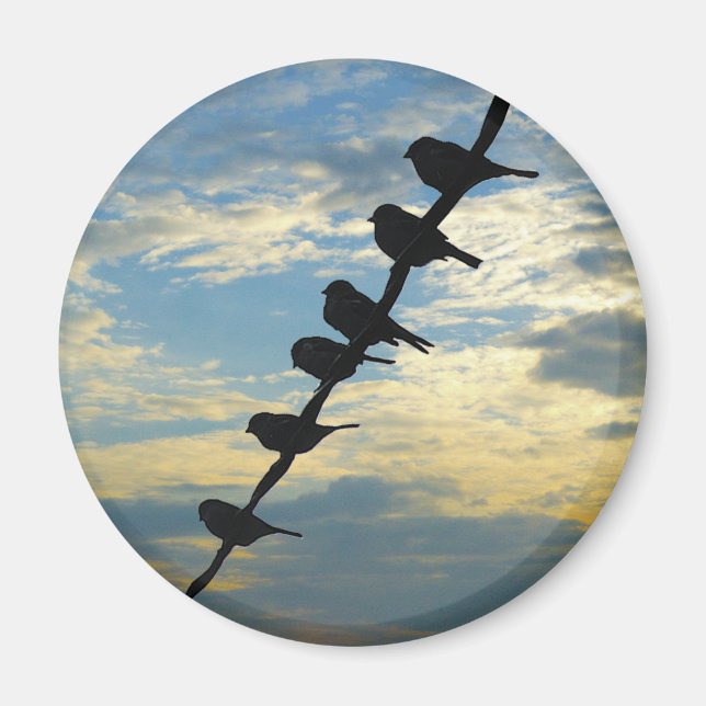 Imã Pássaros num fio (Frente)