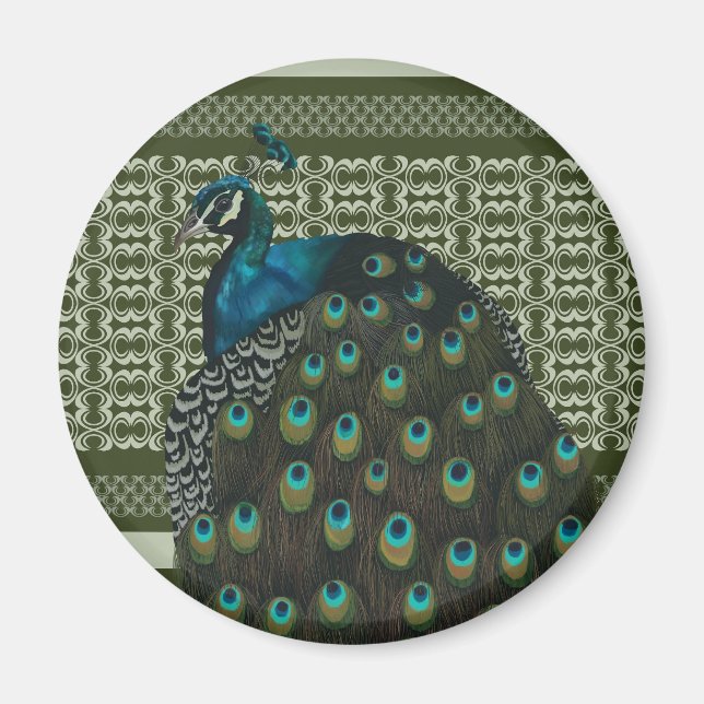 Imã Pássaros-Pássaros-Pássaros-Pássaros-Pavão-Pavão El (Frente)
