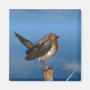 IMÃ PÁSSAROS/PEITO HYPER VERMELHO DO PISCO DE PEITO