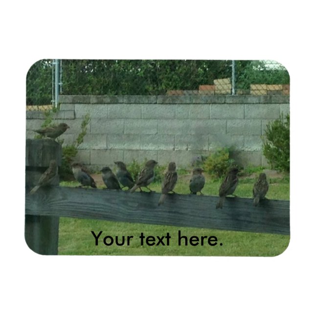 Ímã Pássaros Sentados em uma Lâmpada Ferroviária (Horizontal)