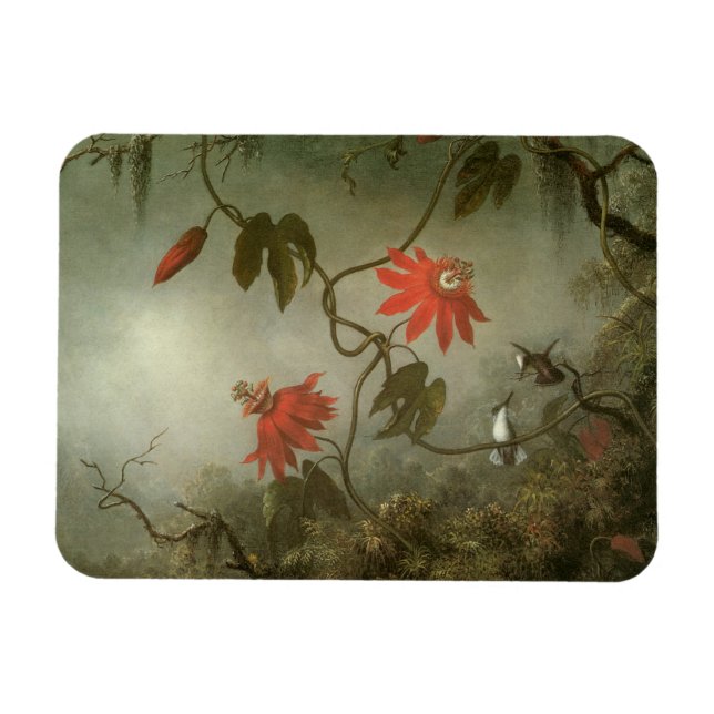 Ímã Passion Flowers e Hummingbird por Martin J Heade (Horizontal)
