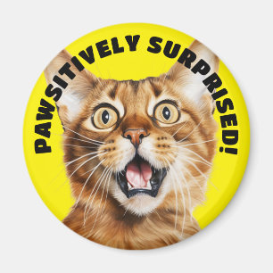 Imã PASSIVAMENTE SURPREENDIDO! Amarelo Gato Louco Engr