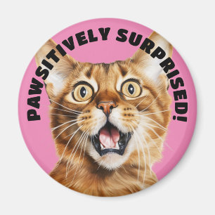 Imã PASSIVAMENTE SURPREENDIDO! Brincadeira, Rosa Gato