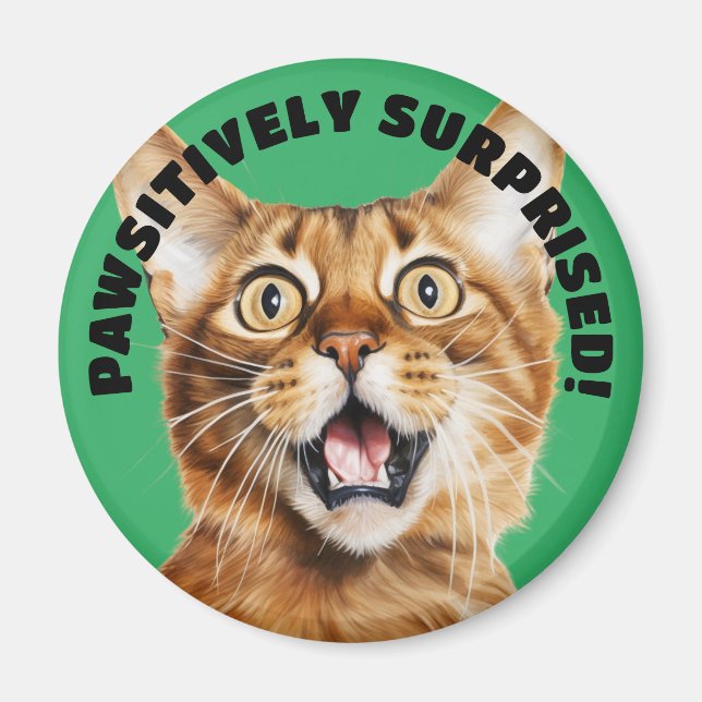 Imã PASSIVAMENTE SURPREENDIDO! Gato Louco e Engraçado  (Frente)
