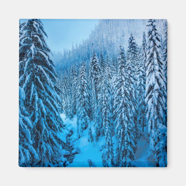 Imã Passo Snoqualmie, Estado de Washington. (Frente)