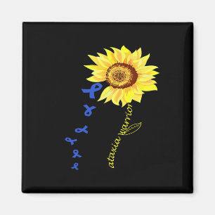 Imã pasta C:\Users\Administrator\Desktop\New - Copiar