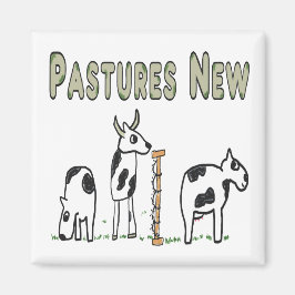 Imã Pastagens Novas