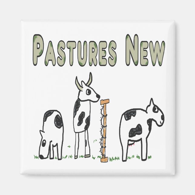 Imã Pastagens Novas (Frente)