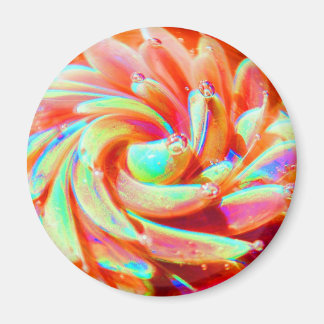 Imã Pastel Rainbow Bubble Ocean Sea Anemone Art Magnet