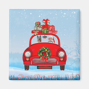 Imã Pastor Alemão no carro com Papai Noel
