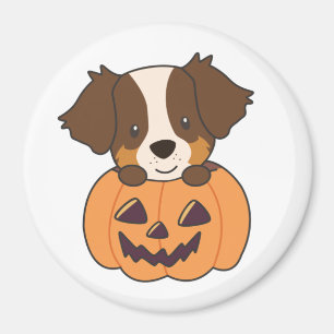 Imã Pastor Australiano Em Pumpkin Cute Happy Magnet