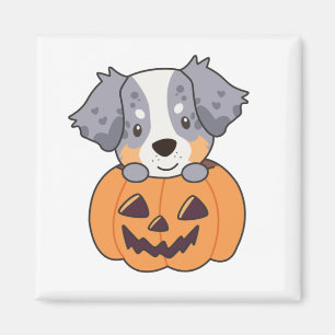 Imã Pastor Australiano Em Pumpkin Cute Happy Magnet