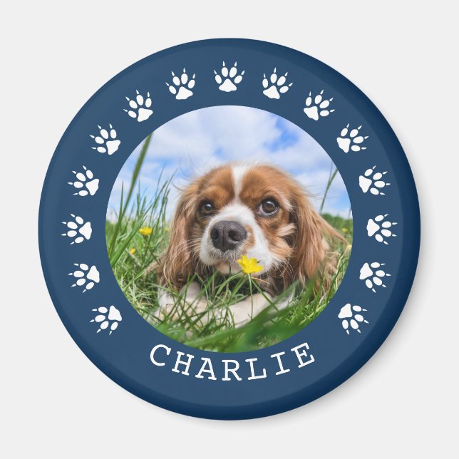 Imã Pata Azul Imprime Foto Pet de Quadro (Frente)