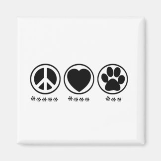 Imã Pata do Amor pela Paz
