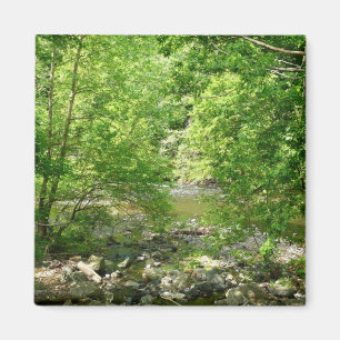Imã Patapsco River View Maryland - Fotografia Natural