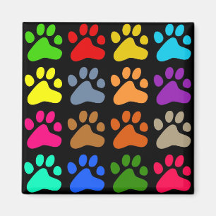 Imã Patas coloridas