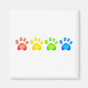 Imã Patas coloridas