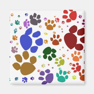 Imã patas coloridas do gato