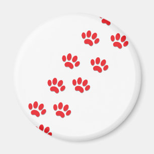 Imã Patas de Gato