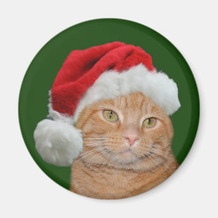 Imã Patas do papai noel