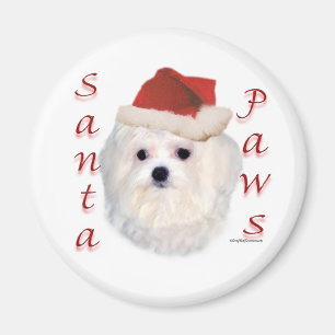 Imã Patas maltesas do papai noel