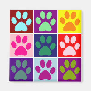 Imã Patas Multicoloridas
