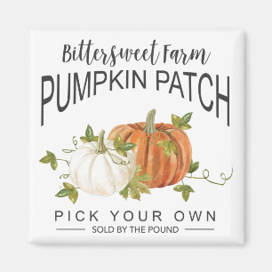 IMÃ PATCH DE PUMPKIN DE QUEDA
