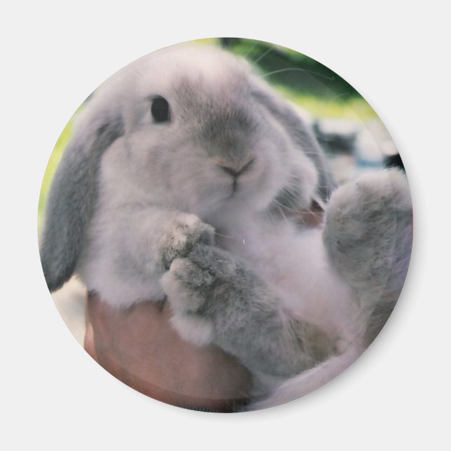 Imã paterna (Frente)