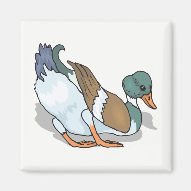 Imã Pato (Frente)