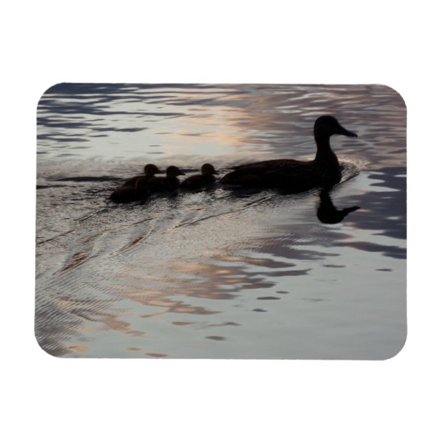 Ímã Pato com Patos em Lâmpada Flexível (Horizontal)