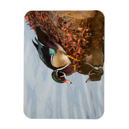 Ímã Pato de madeira em terra