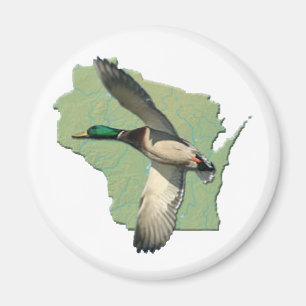 Imã Pato de Wisconsin