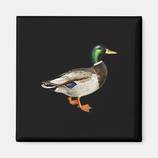 Imã Pato Macho Mallard Logo de Bolso Caça a Patos Mall (Frente)