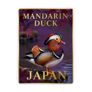 Ímã 🦆 Pato-mandarim Japão Ave Exótica