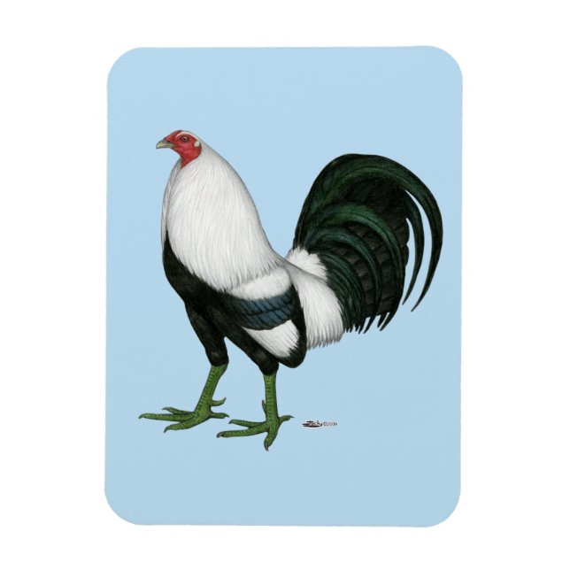 Ímã Pato Prateado de Gamecock (Vertical)