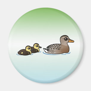 Imã Pato selvagem & dois patinhos