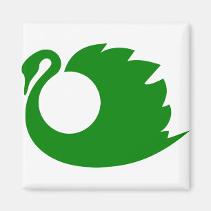 Imã Pato verde