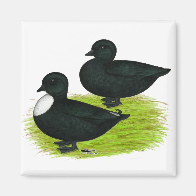 Imã Patos: Chamadas Negras (Frente)
