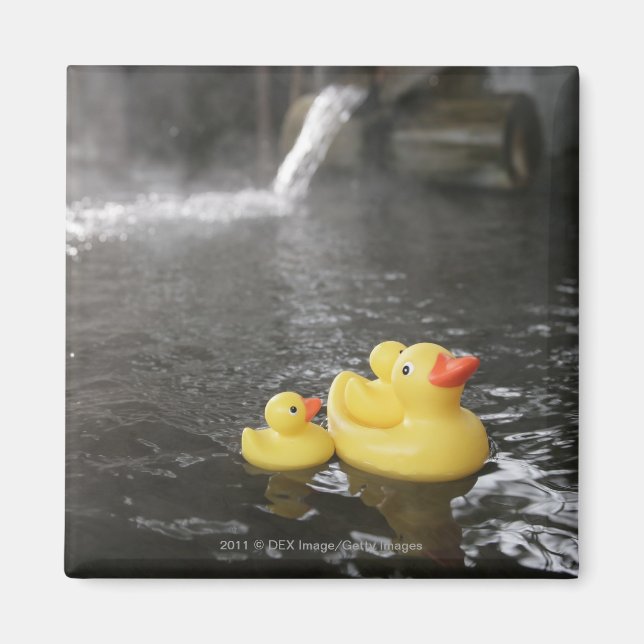 Imã Patos de borracha japoneses (Frente)